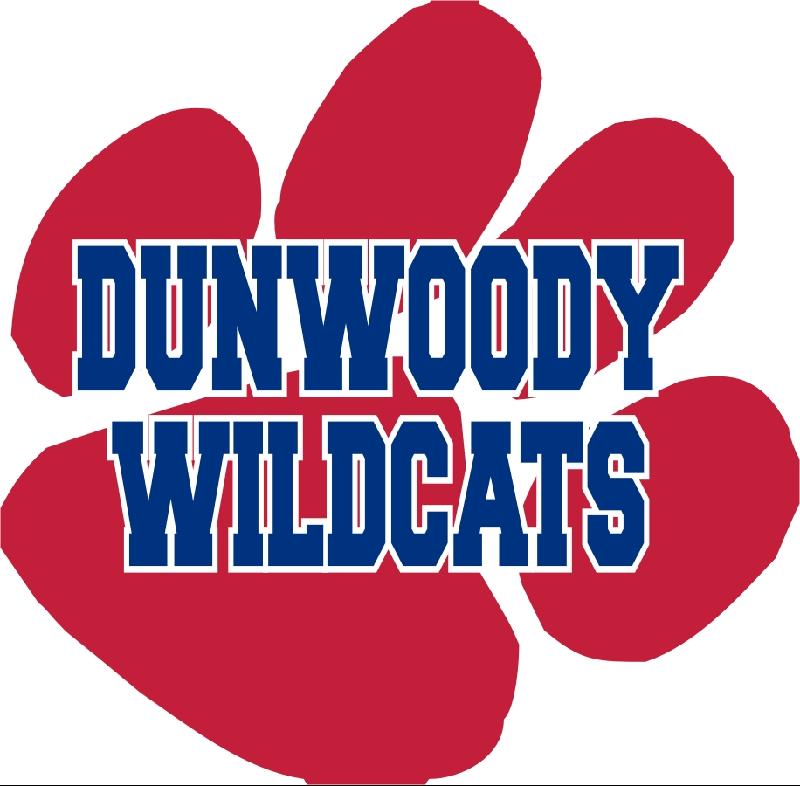 dunwoodywildcats.jpeg